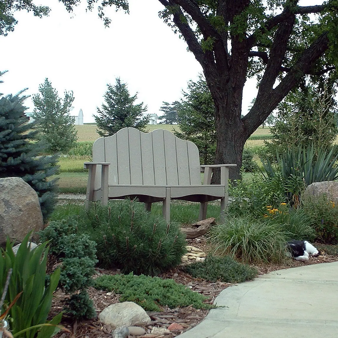 Tailwind Bench