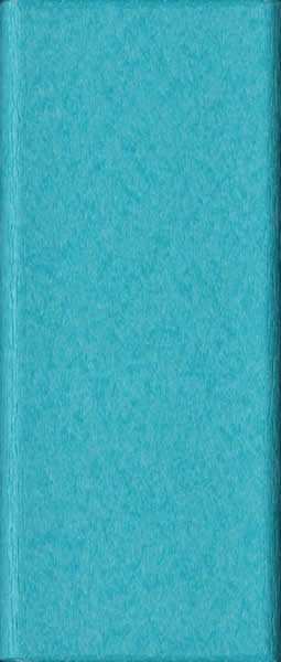 Aruba Blue