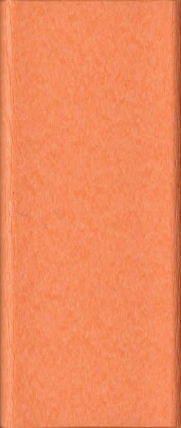 BG-Mango Orange on White 