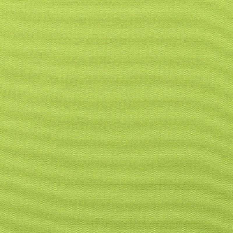 CV-P-Canvas-Parrot