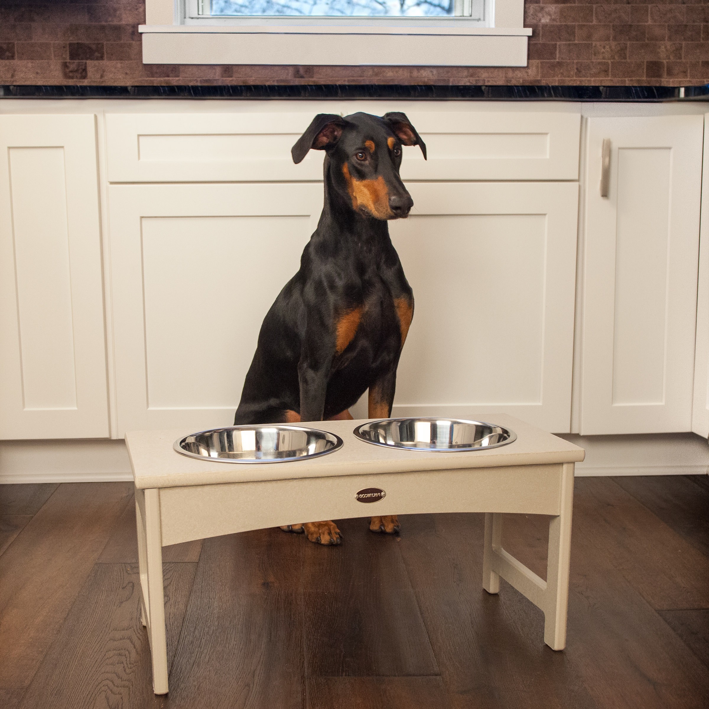 Elevate Mealtime with POLYWOOD Pet Feeder: Stylish, Durable, and  Eco-Friendly