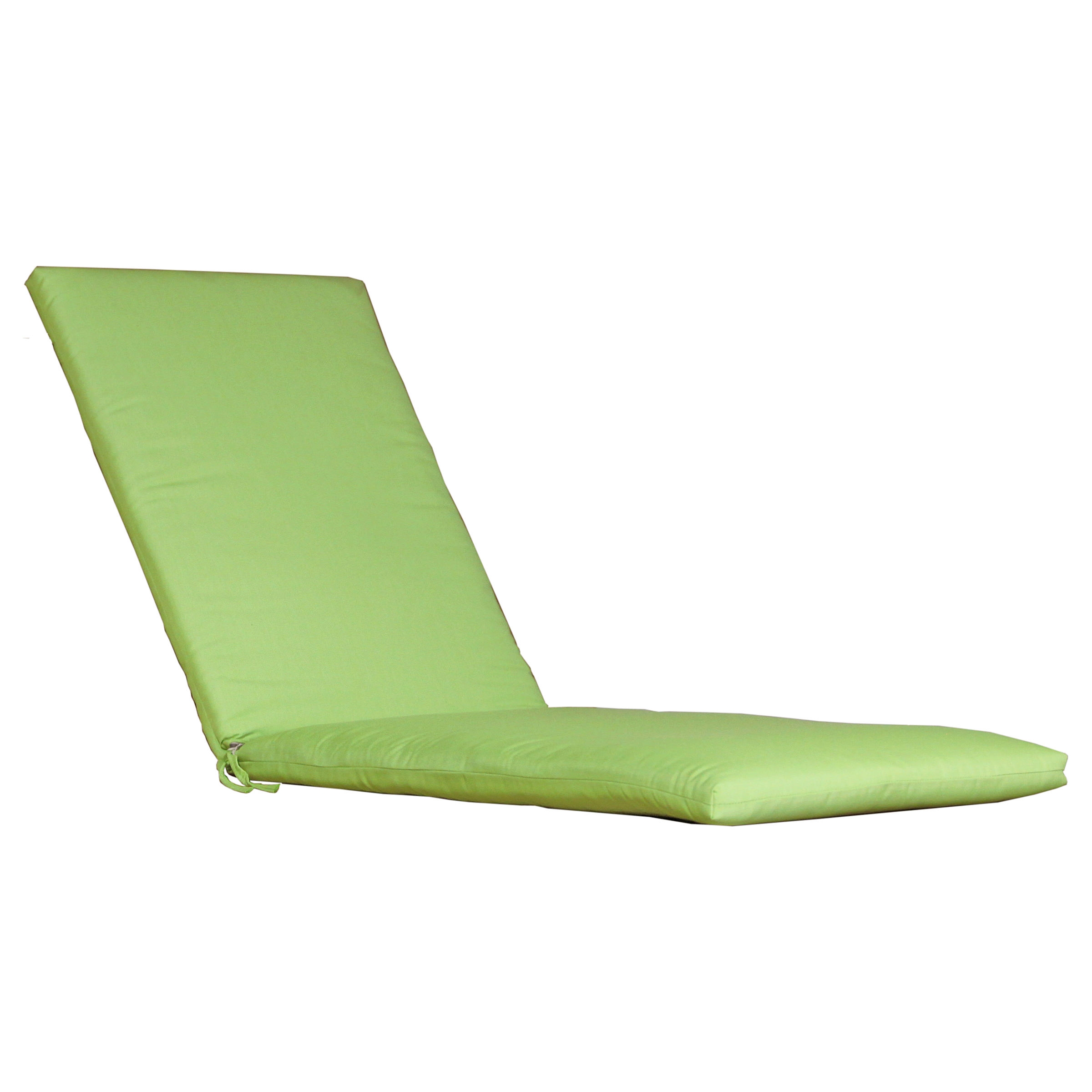 CV-P-Canvas-Parrot