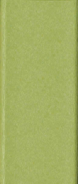 LLC-Turquoise