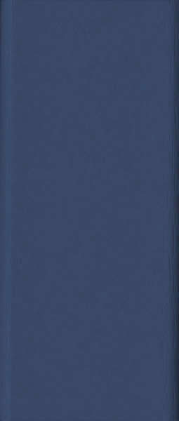 LLC-Patriot-Blue
