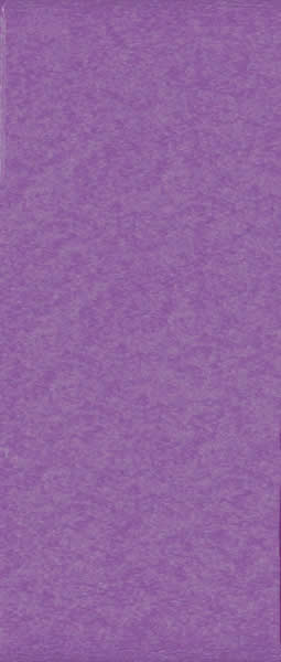LLC-White