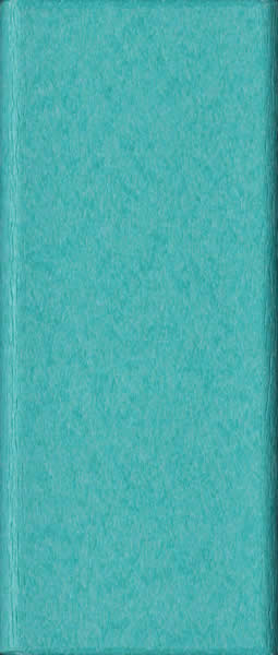 LLC-Turquoise