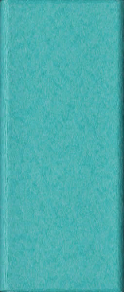 LLC-Turquoise