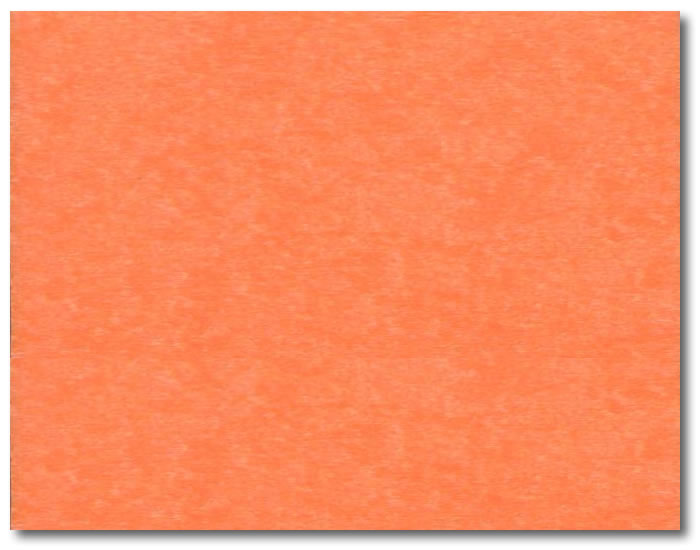 BG-Light-Gray