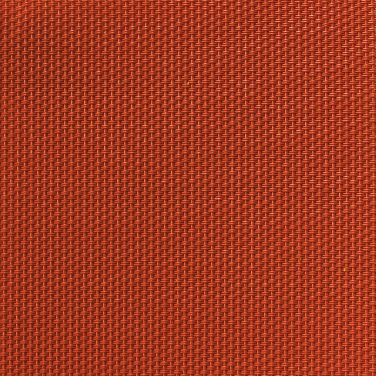 Salsa Sling