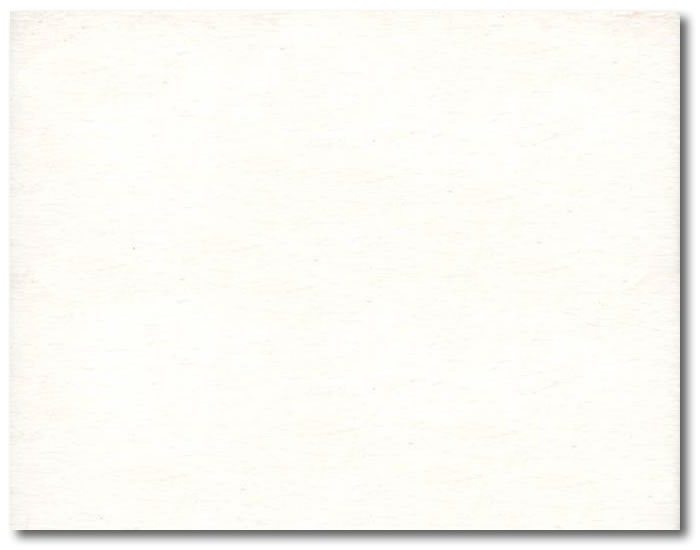 BG-White