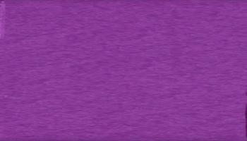 bright-purple 