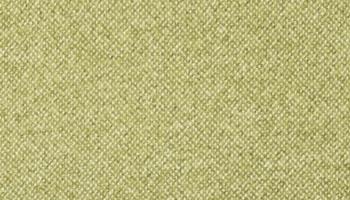 chartreuse-boucle +$64.00