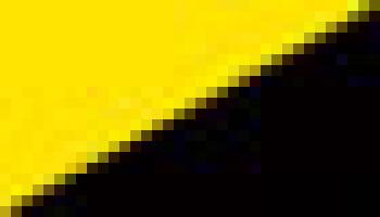 cv-yellow-black 
