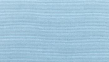 canvas-air-blue +$129.00