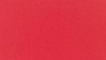 canvas-logo-red 